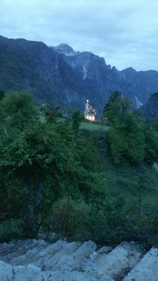 Bed and Breakfast Bujtina Pllumi Тети Экстерьер фото